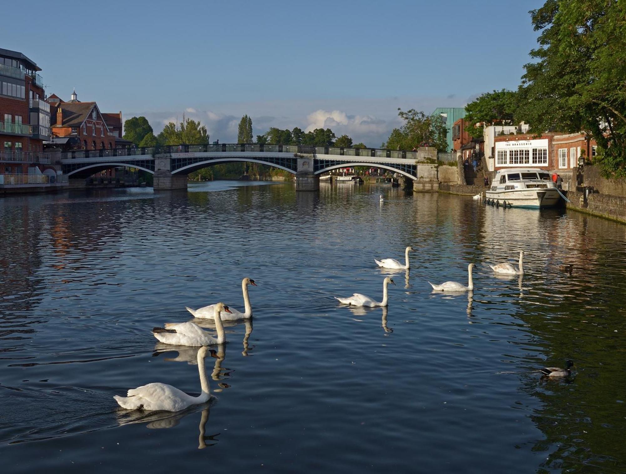 Top Floor En-Suite Double Bedrooms With Great View Of Windsor Castle & Free Parking Exteriér fotografie